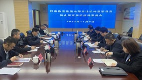  省審計(jì)廳黨組成員、副廳長(zhǎng)陳炎人到 甘肅物流集團(tuán)指導(dǎo)監(jiān)督工作